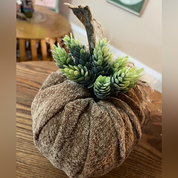 Set of 2 Handmade Succulent Chenille Fall Pumpkins - Fabric Fall Pumpkins - Boho - Picture 6 of 14